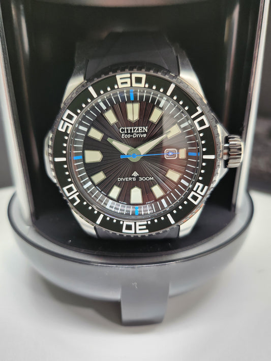 Citizen Promaster Watch